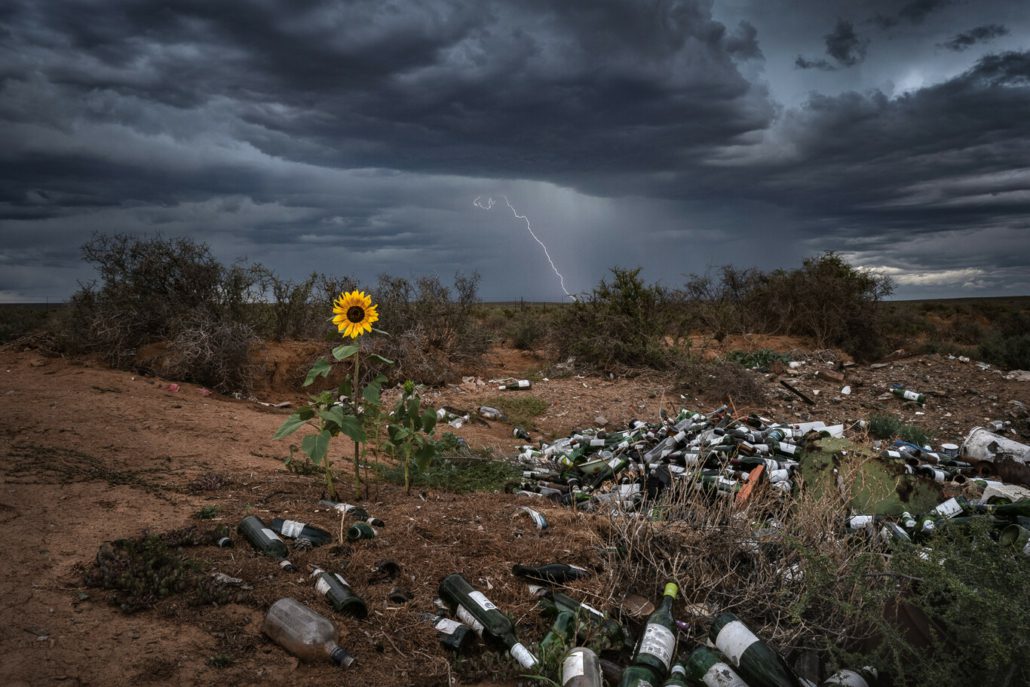 fotografías de naturaleza